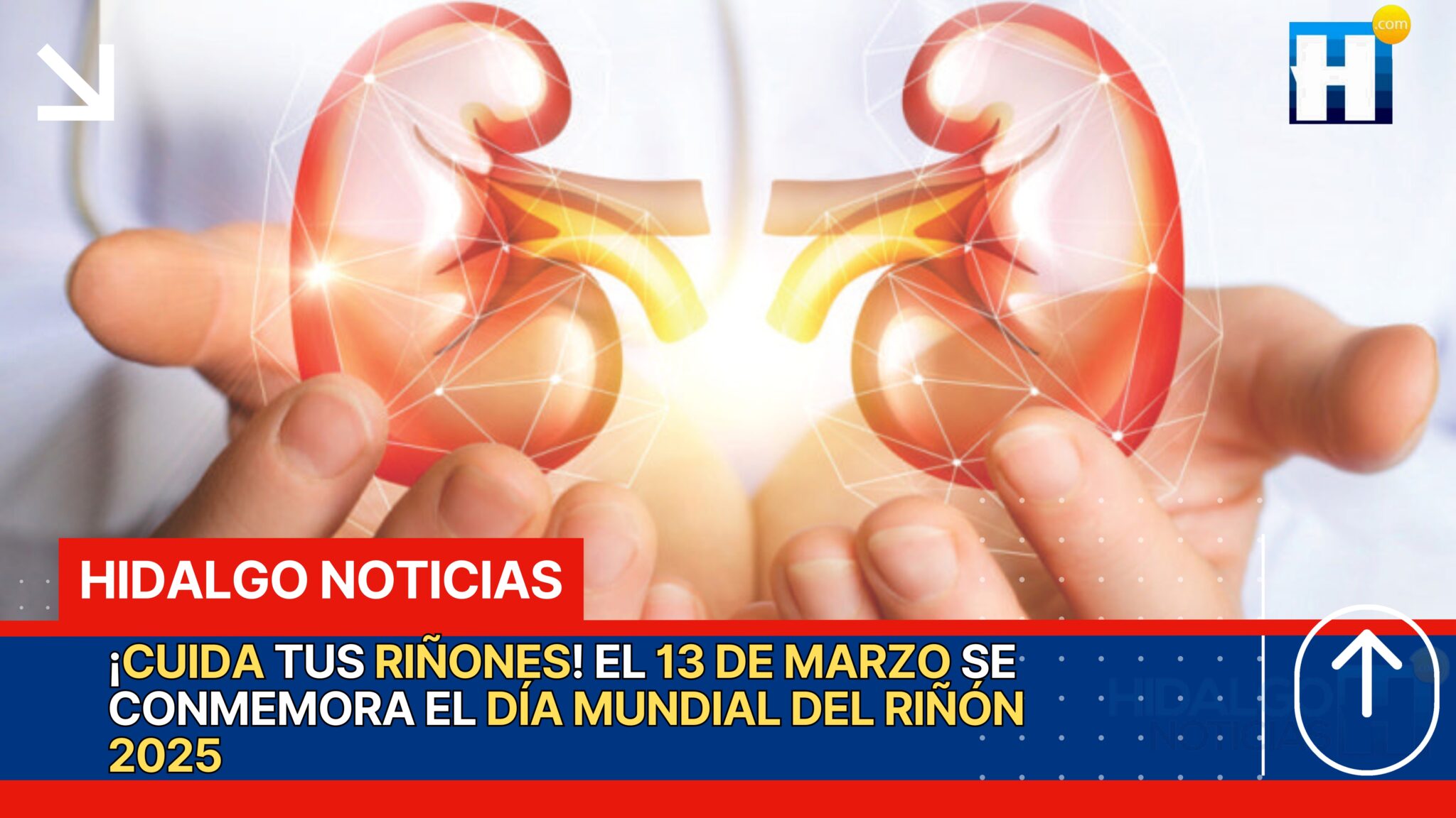 Día Mundial Del Riñón 2025: Promoviendo La Detección Temprana Para ...